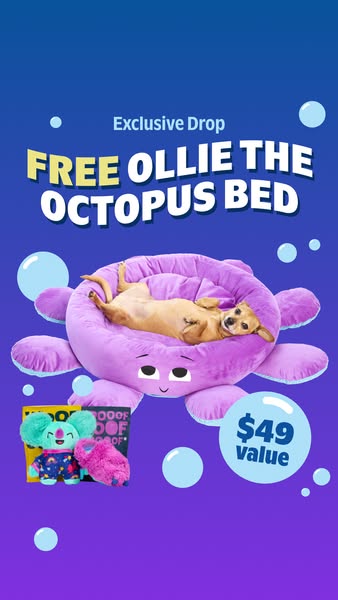 BarkBox - Snuggle Up In A Free Octopus Bed